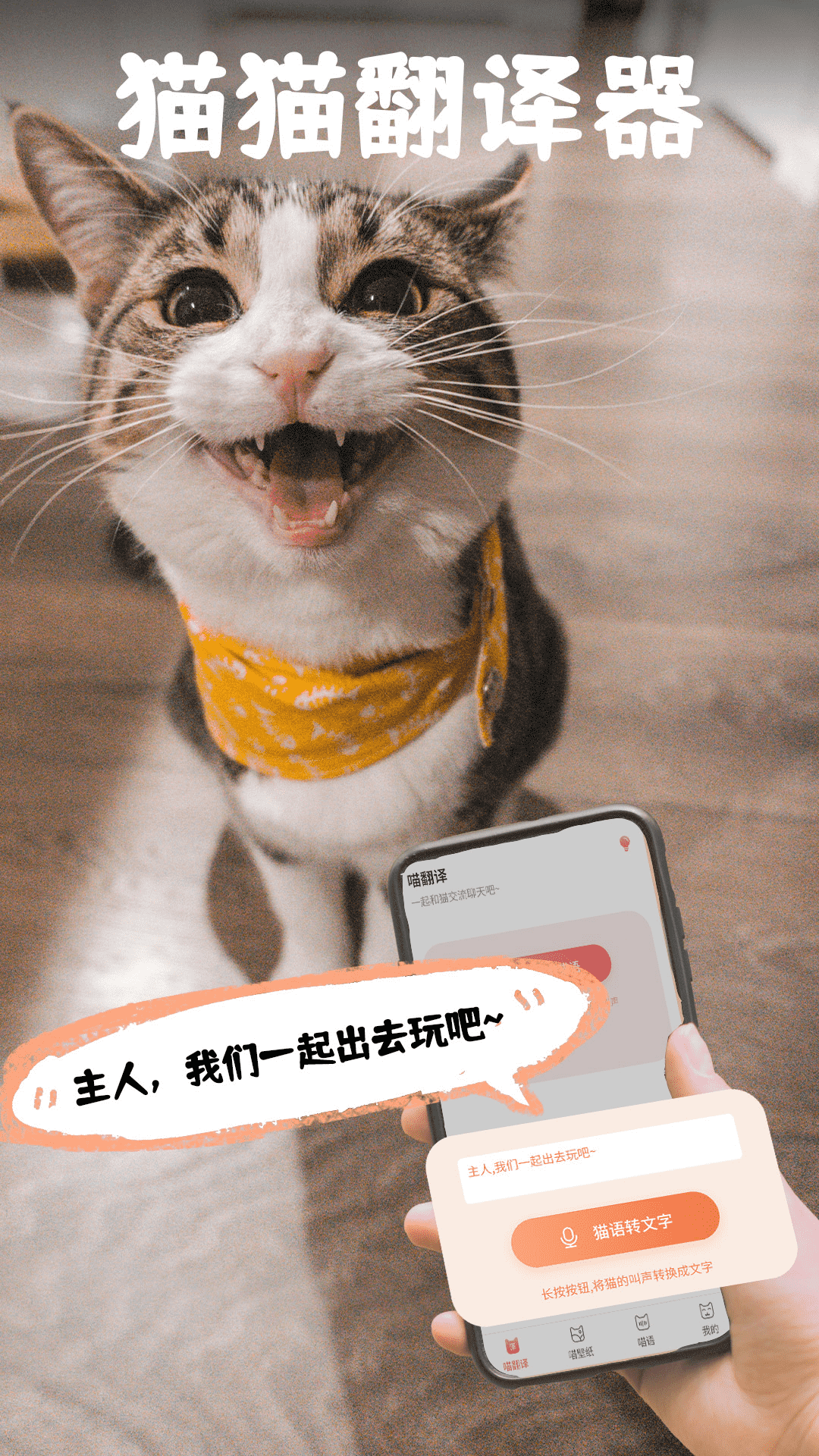 pet猫翻译